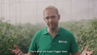 Rivulis Super Fogger Efficient climate control in your greenhouse [upl. by Esina]