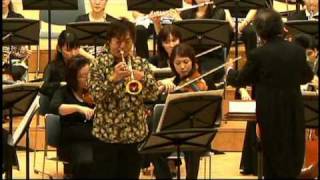 Haydn  Trumpet concerto [upl. by Ignacius266]