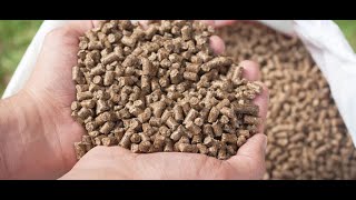 Bharat Feed amp Extraction Ltd  Cattle Feed Manufacturer  Cow Feed  Buffalo Feed  Goat Feed [upl. by Atalie306]