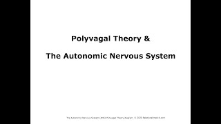 Polyvagal Theory A 5 minute overview [upl. by Eillom492]