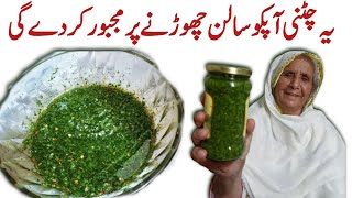 Chatpati Hari Chatni  Hari Mirch Pudina Lehsun Chatni  Chili Garlic Mint Sauce [upl. by Cobb]