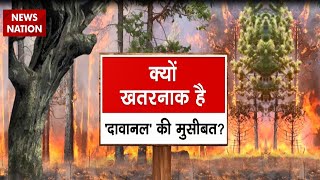 Global Warming दावानल का क्या है Climate Change Connection  Wildfire  America  World News [upl. by Epillihp]