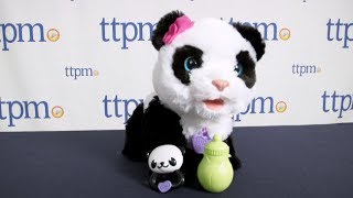 FurReal Friends Pom Pom My Baby Panda from Hasbro [upl. by Einobe]