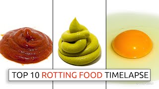 Top 10 Rotting Food Timelapses [upl. by Pirbhai]