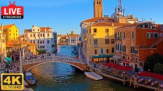 🔴 4K Live Cam of Ponte delle Guglie Venice  View from Hotel Leone Venezia  Live stream ライブカメラ [upl. by Nosnehpets]