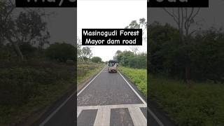 Masinagudi Forest mudumalai forest video [upl. by Ardnasirhc411]