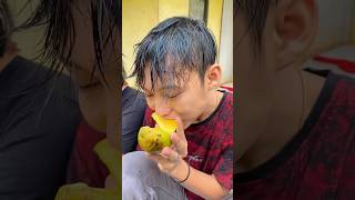 begini cara agar buah mangga cepat matang diy kreatif viral art craft [upl. by Hgielac]