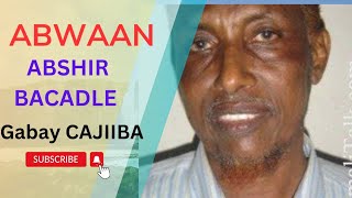 Abwaan Abshir bacadle AUN  Gabay CAJIIBA Hawrargabaysomali1226 [upl. by Adelaida393]