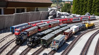 Zugfahrt mit diversen Zügen auf meiner LGB Gartenbahn [upl. by Ayekehs883]