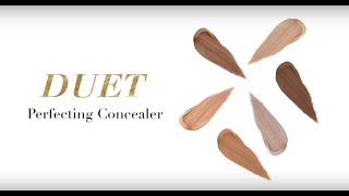 Makeup Tutorial Hynt Beauty DUET Perfecting Concealer [upl. by Neema]