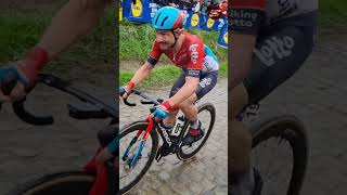 Victor CAMPENAERTS De Ronde Van Vlaanderen 2024 [upl. by Nnayd756]