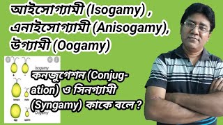 What is Isogamy Anisogamy Oogamy  conjugation amp Syngamy আইসোগ্যামী এনাইসোগ্যামী উগ্যামী কনজুগেশন [upl. by Sihun]