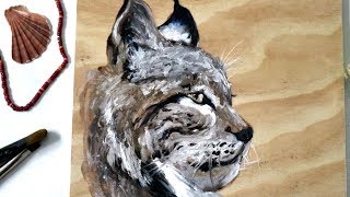 Proceso de una pintura  Lince [upl. by Fenner]