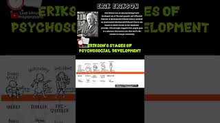 Erik Erikson 8 Stages of Theory of Psychosocial Development in UrduHindi Bed  Child Development [upl. by Enaid]