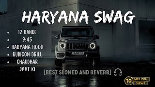 Haryana Swag🔥🥶  Best Slowed and Reverb Songs   Top Attitude Songs🔥 [upl. by Coppins]