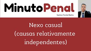 73 Causas relativamente independentes  Nexo causal [upl. by Madlen442]