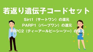 若返りアンチエイジ遺伝子コードのセット Sirt1サートワンの還元、PARP1パープワンの還元、TRPC2ティーアールピーシーツの還元 [upl. by Noman]