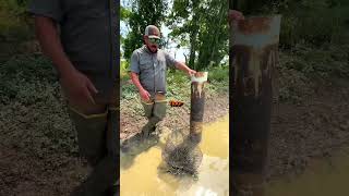 CRAWFISH FARM HACK crawfish louisiana cajun [upl. by Ahsieym775]