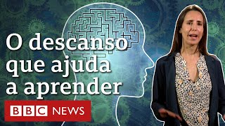 Os pequenos descansos que ajudam cérebro a aprender coisas novas [upl. by Eglantine]