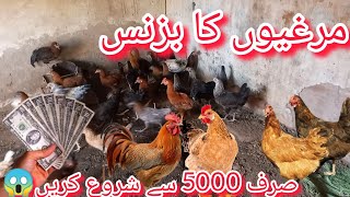 Poultry Business ideas Chicken and Eggs Business Small Business Ideas [upl. by Schiro148]