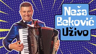 Neša Beković Improvizacija [upl. by Eastman]