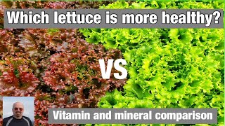 Which lettuces are healthier [upl. by Bullion]