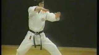 Heian Yondan  Shotokan Karate [upl. by Eittap977]