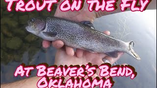 Trout on the Fly at Beavers Bend Oklahoma TroutOnTheFly [upl. by Einner638]