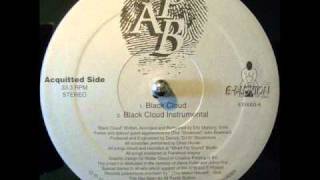 APB  Black Cloud [upl. by Annaiv]