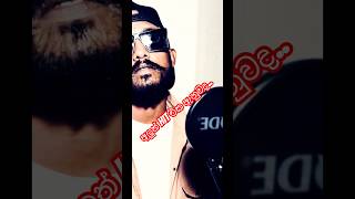 අමුවට ගහපු අලුත් Hit එක ඇහුවද [upl. by Aihsilat719]