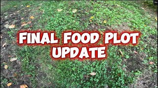 Final Food Plot Update [upl. by Eisdnyl]