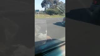 WATCH Police investigate John Ross child driver [upl. by Armyn]