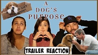 A Dog’s Purpose  Trailer  Own it now on Bluray DVD amp Digital [upl. by Kirsti]