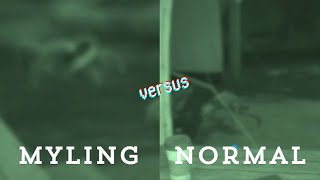 myling versus normal ghost footsteps [upl. by Collimore]