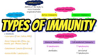 Types of Immunity Chapter 35 part 1 Guyton and Hall Physiology [upl. by Anirok335]