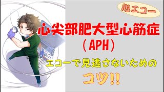 APH心尖部肥大型心筋症を見逃さないエコーの撮り方、見かた！【心エコー】（再掲） [upl. by Kcirad359]