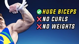 Top 5 Gymnast BICEPS Exercises ANYONE Can Do NO CURLS [upl. by Whitaker]