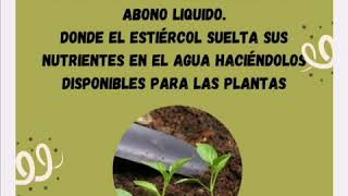 🌿 AGROPLUS 🌿 [upl. by Naro]