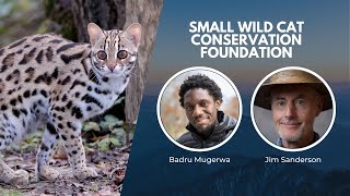 Saving Small Wild Cats  Wildlife Conservation Expo [upl. by Sidwell475]