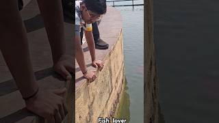 Fish lover ❤️ Thriveni sangam Gujrat [upl. by Nyladnek]