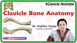 Clavicle Bone Anatomy Bony Landmarks and Articulations Functions Attachments Clinical aspects [upl. by Yllak]