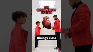 GCSE Biology  Circulatory System [upl. by Marquita213]