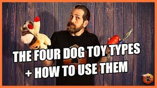 How to Use the 4 Types of Dog Toys RIGHT [upl. by Siuqcram]