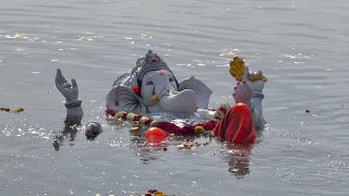 Ganesh Nimajjanam 2024  Ganpati Visarjan in Tank Bund  8th day ganesh immersion 2024 Hyderabad [upl. by Eseer]