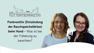 Pankreatitis Entzündung der Bauchspeicheldrüse beim Hund  Was ist bei der Fütterung zu beachten [upl. by Adiel]