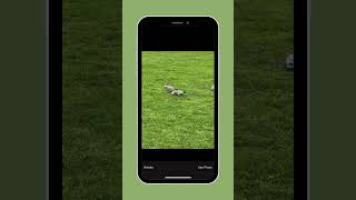 How to download the iNaturalist app [upl. by Amahs]