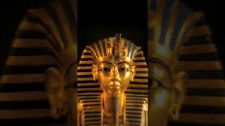 Tutankhamun history facts reality youtubeshorts youtube youtuber ytshortsyoutubeshortegypt [upl. by Gennie606]