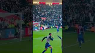 THE BEST COMEBACK EVER Leicester City STUNS Southampton [upl. by Plantagenet]