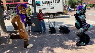 Anthrocon 2022  Strobes amp Gale Frostbane Busting Some Moves [upl. by Niall]