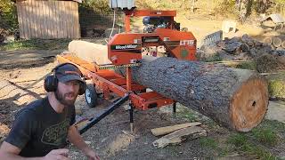 WoodMizer Saw Shed Part 1  Milling the Main Beam sawmill woodworking hardwork [upl. by Filbert]